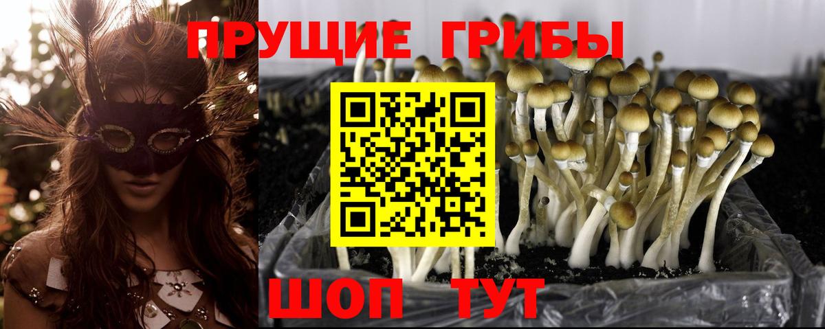 Янаул  Галлюциногенные грибы мицелий  Вход с VPN 